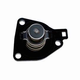 AISIN PRODUCTS THERMOSTAT