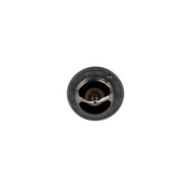 AISIN PRODUCTS THERMOSTAT