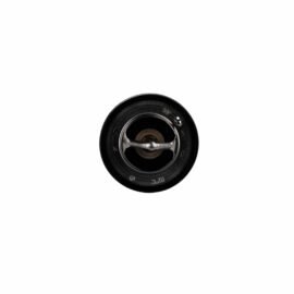 AISIN PRODUCTS THERMOSTAT