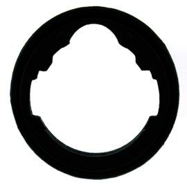 AISIN PRODUCTS THERMOSTAT GSKT