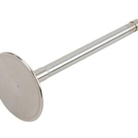 AC DELCO VALVE-INT