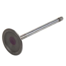 AC DELCO VALVEINT