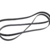 AC DELCO BELT-W/PMP & A/