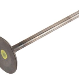 AC DELCO VALVEINT