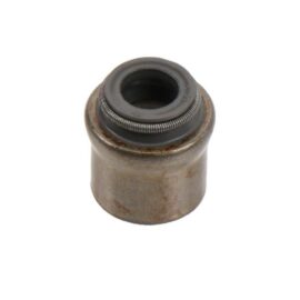 AC DELCO SEAL-VLV STEM O