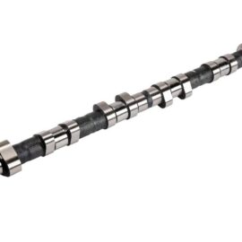AC DELCO CAMSHAFT ASM-IN