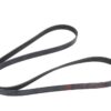 AC DELCO BELT-W/PMP