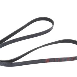 AC DELCO BELT-W/PMP