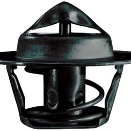 AC DELCO THERMOSTAT ASM-
