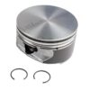 AC DELCO PISTON(W/PIN)