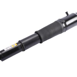 AC DELCO ABSORBER ASM RR