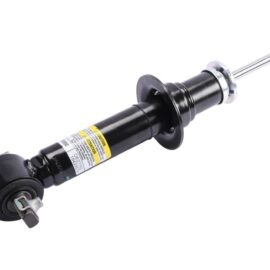AC DELCO ABSORBER ASM FR