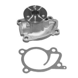 AC DELCO PUMP KITWAT