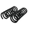 AC DELCO COIL SPRINGS