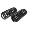 AC DELCO COIL SPRINGS
