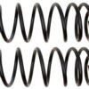 AC DELCO COIL SPRINGS