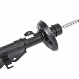 AC DELCO STRUT ASMRT S