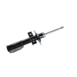 AC DELCO STRUT ASM-FRT S