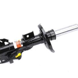 AC DELCO STRUT ASM-FRT S
