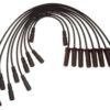 AC DELCO IGNITION WIRES