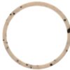 AC DELCO RING-INPUT SHF