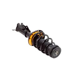 AC DELCO STRUT ASM FRT S