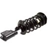 AC DELCO STRUT ASM FRT S