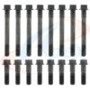 APEX GASKET HEAD BOLT SET