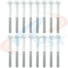 APEX GASKET HEAD BOLT SET