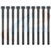 APEX GASKET HEAD BOLT SET