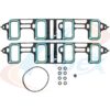 APEX GASKET INTAKE MANIFOLD