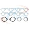 APEX GASKET MANIFOLD SET
