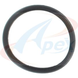 APEX GASKET THERMOSTAT