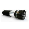 ARNOTT AIR SPRING