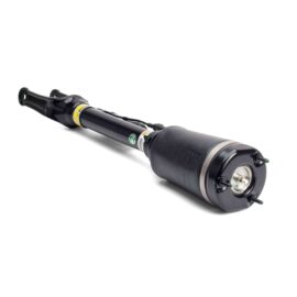 ARNOTT REMAN AIR STRUT