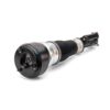 ARNOTT REMAN AIR STRUT