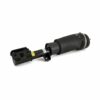 ARNOTT REMAN AIR STRUT