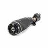 ARNOTT NEW AIR STRUT