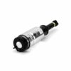 ARNOTT NEW AIR STRUT