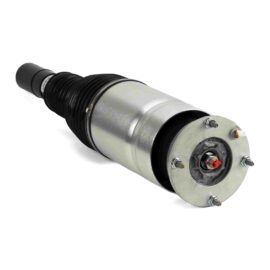 ARNOTT REMAN AIR STRUT