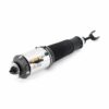 ARNOTT NEW AIR STRUT