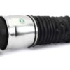 ARNOTT NEW AIR STRUT