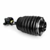 ARNOTT AIR STRUT