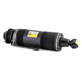 ARNOTT REMAN ABC STRUT