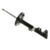 BILSTEIN STRUT ASSEMBLY