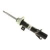 BILSTEIN STRUT ASSEMBLY