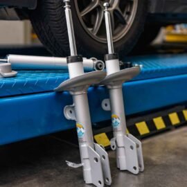 BILSTEIN STRUT ASSEMBLY