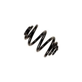 BILSTEIN COIL SPRING