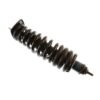 BILSTEIN STRUT ASSEMBLY