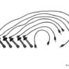 BERU IGN WIRE SET